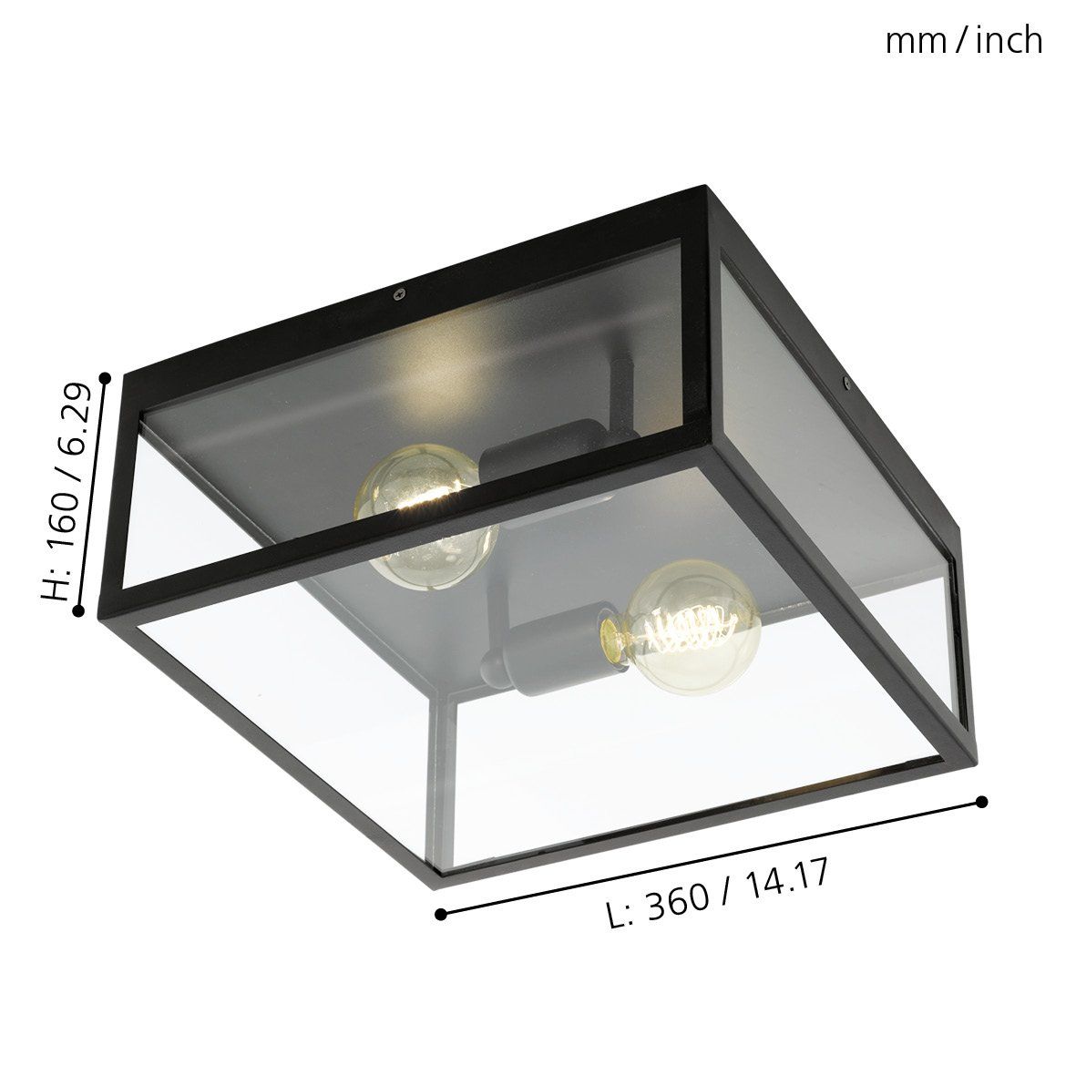 2 Bulb Steel Ceiling Light with Black Clear Glass