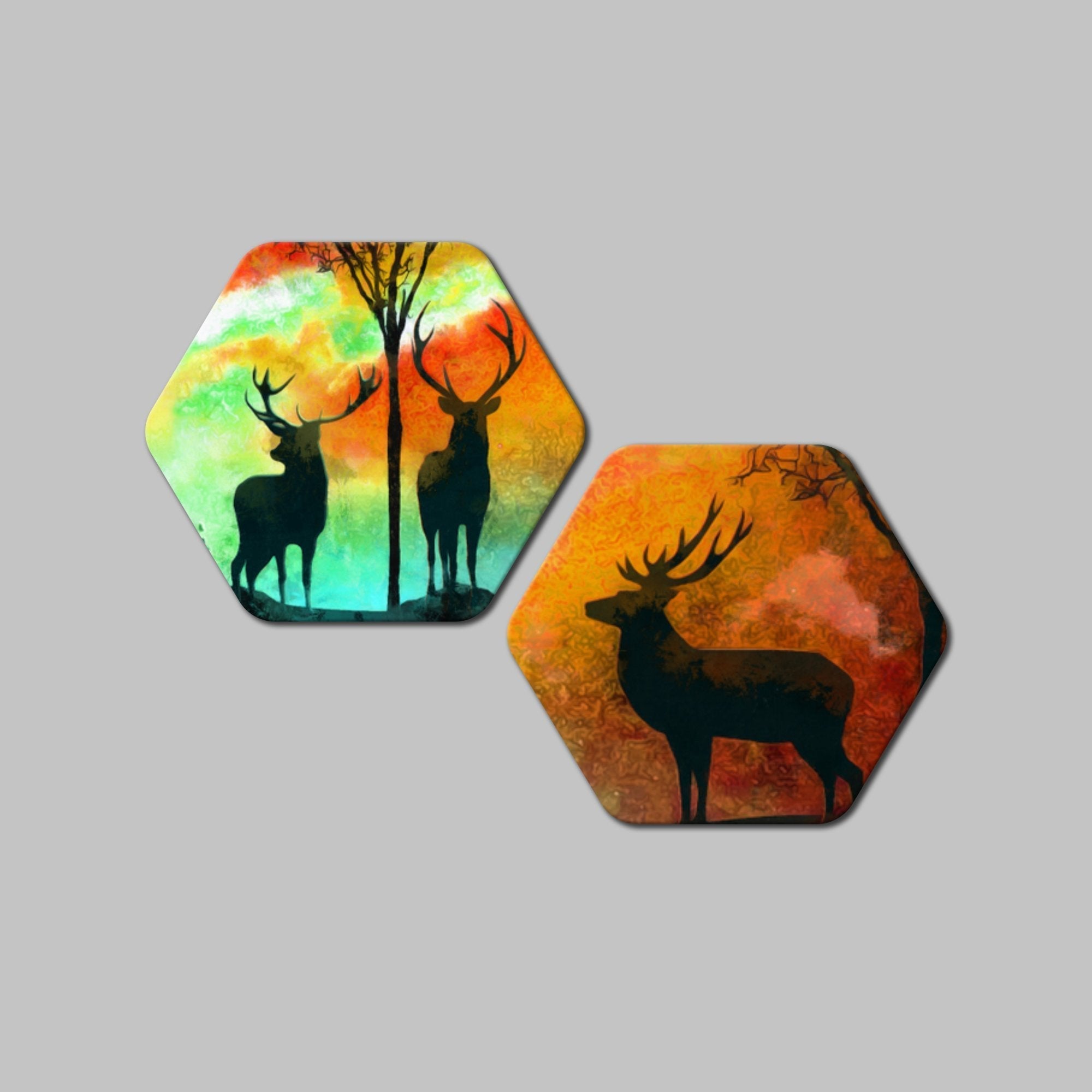 Premium 2 Pieces Hexagon Wall Painting