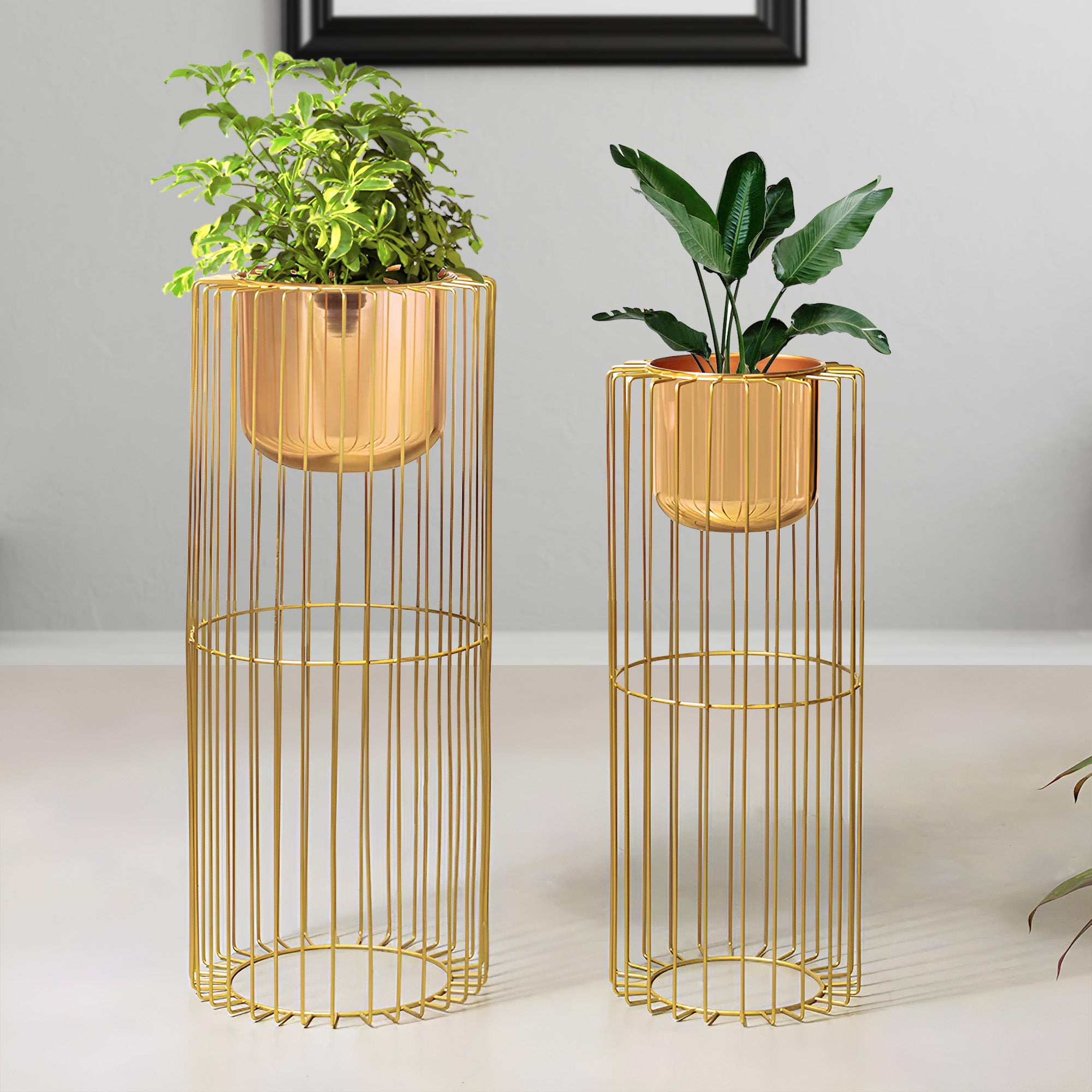 Botanic Couture Golden Finish Planters Set of 2