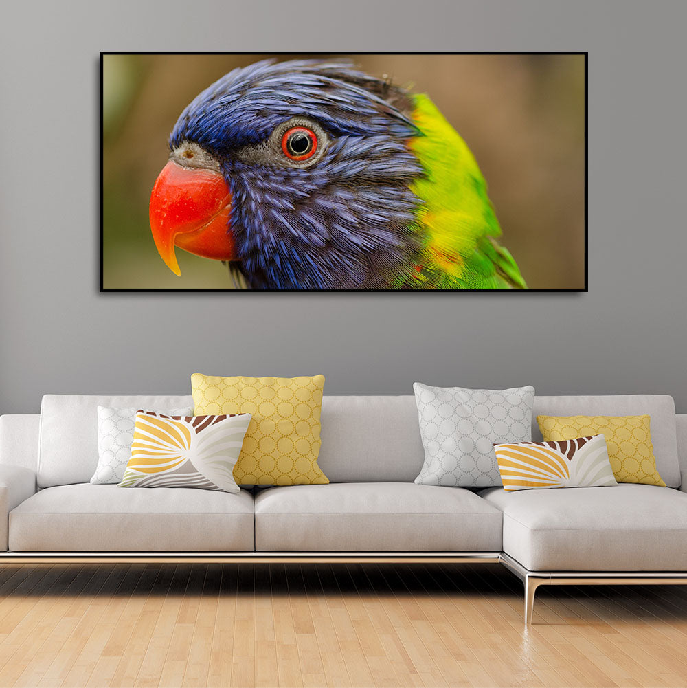 Colorful Parrot Premium Wall Painting