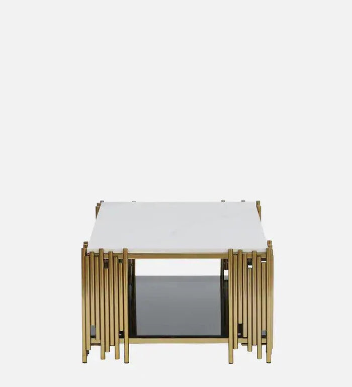 Contemporary Designer Center Table with Dual-Tier Shelving
