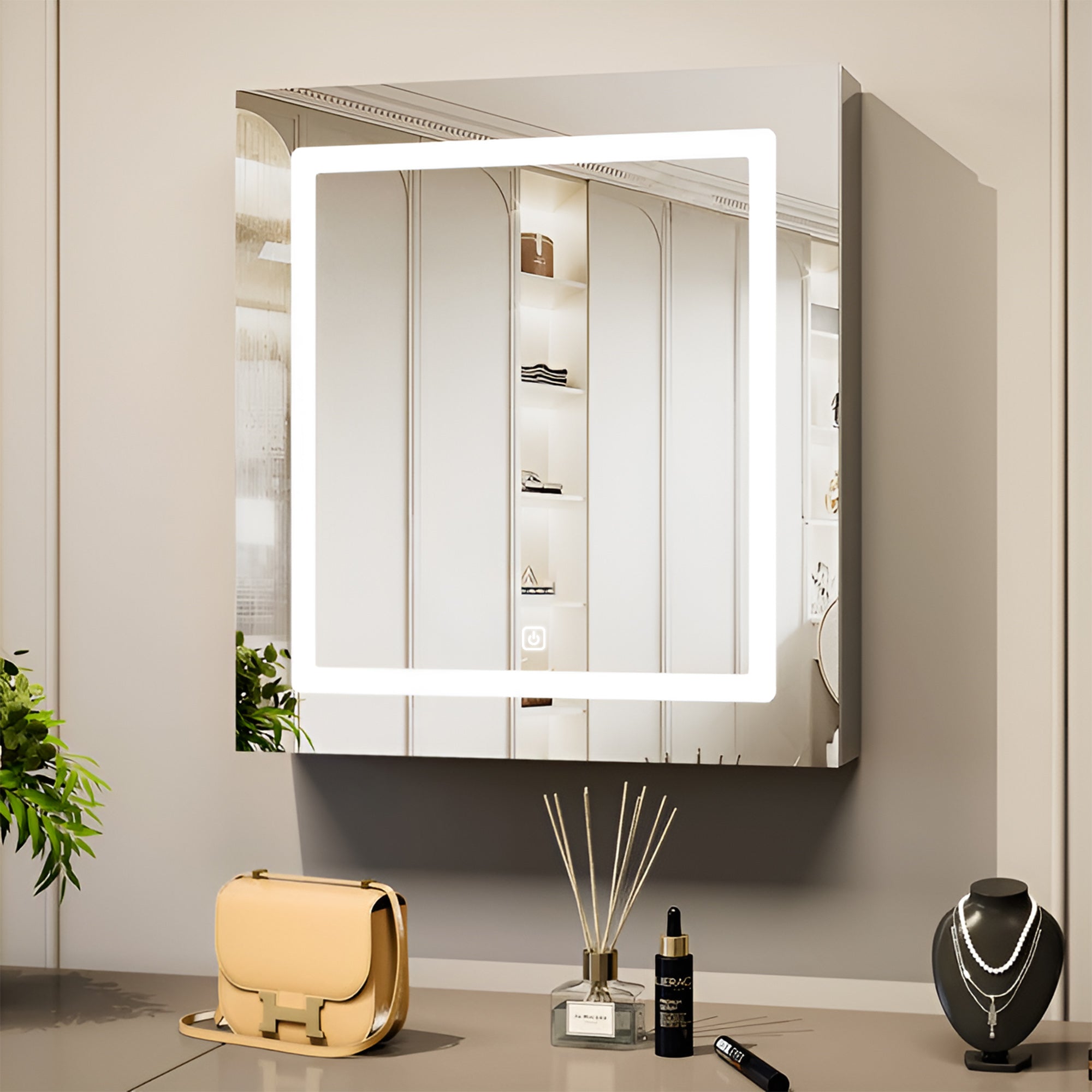 Contemporary Vanity Mirror Cabinet with Interior Organization