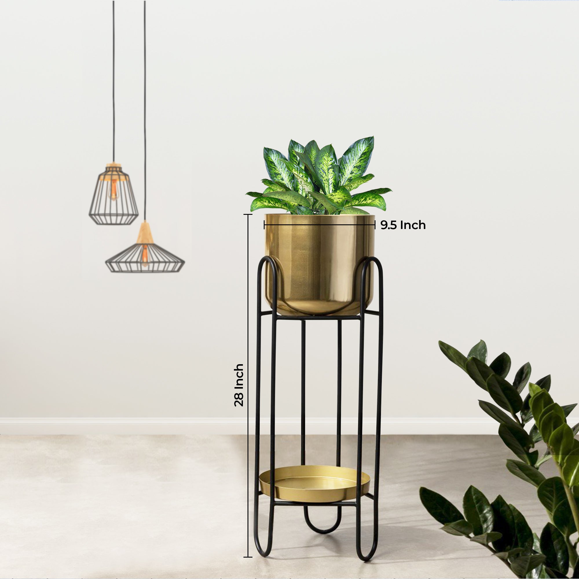 Dual Crown Black Stand & Golden Finish Pot - Medium Size Planter