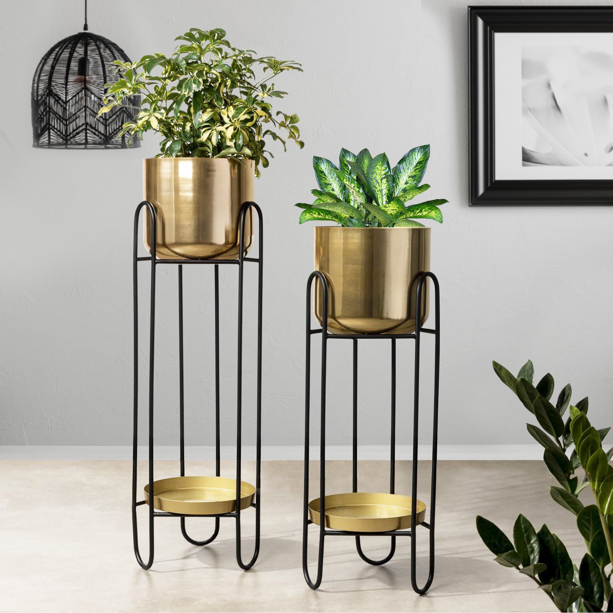 Dual Crown Black Stand & Golden Finish Pot Planters Set of 2