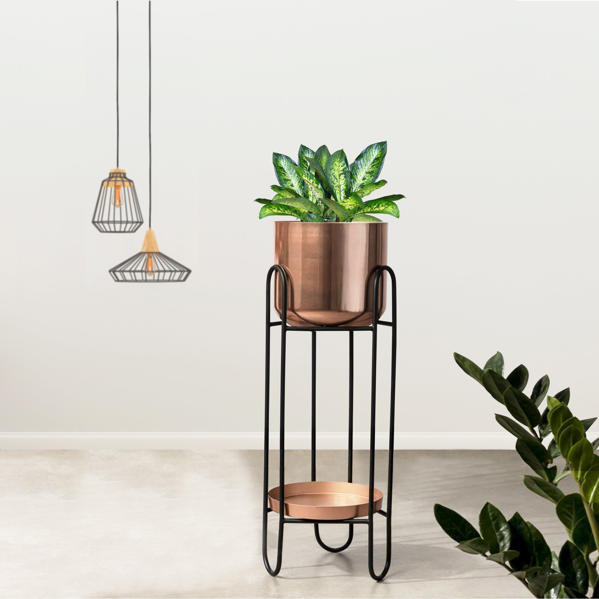 Dual Crown Black Stand & Ross Gold Finish Pot - Medium Size Planter