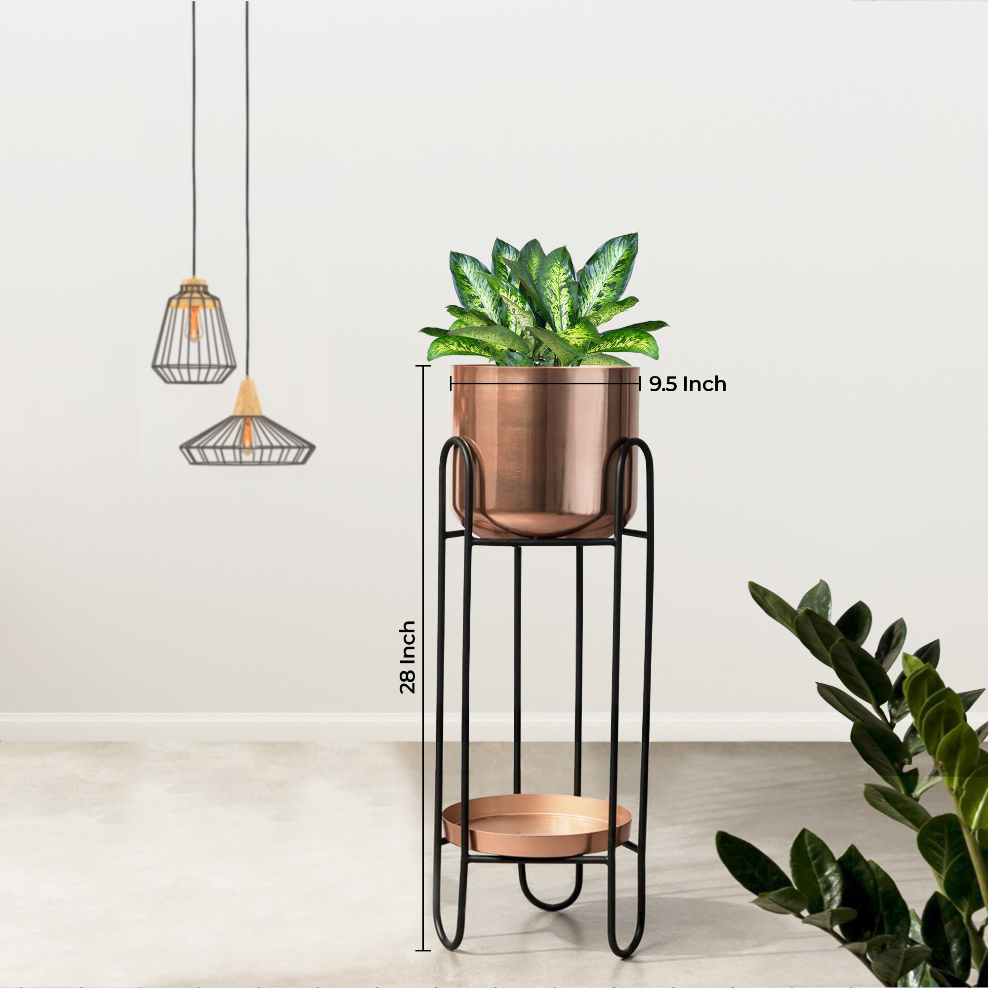 Dual Crown Black Stand & Ross Gold Finish Pot - Medium Size Planter