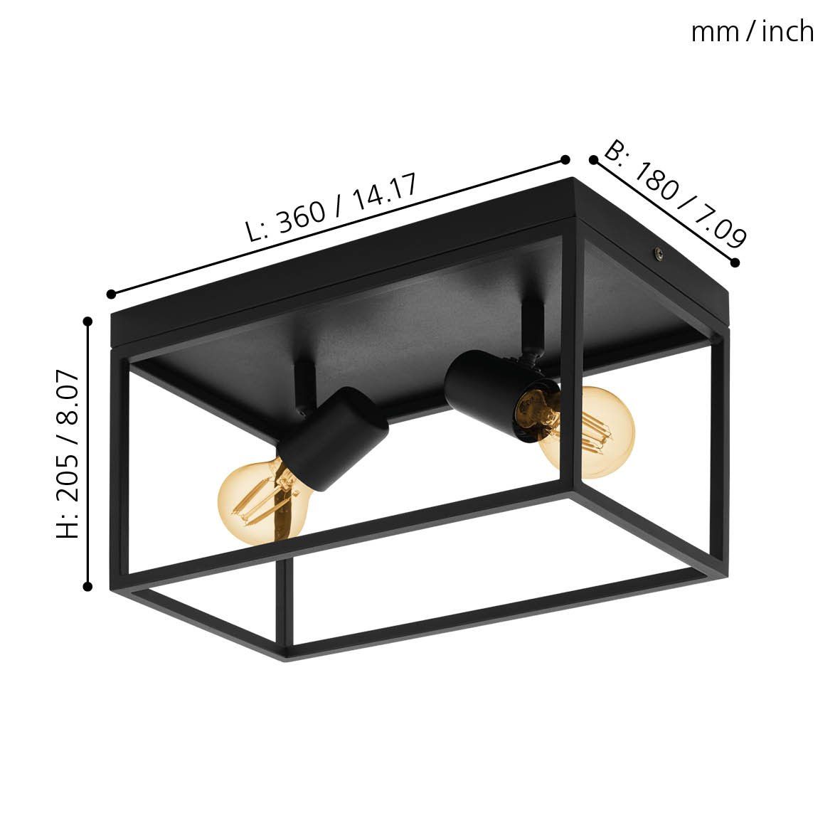 Two Bulb Steel Ceiling Light with Black Clear Glass