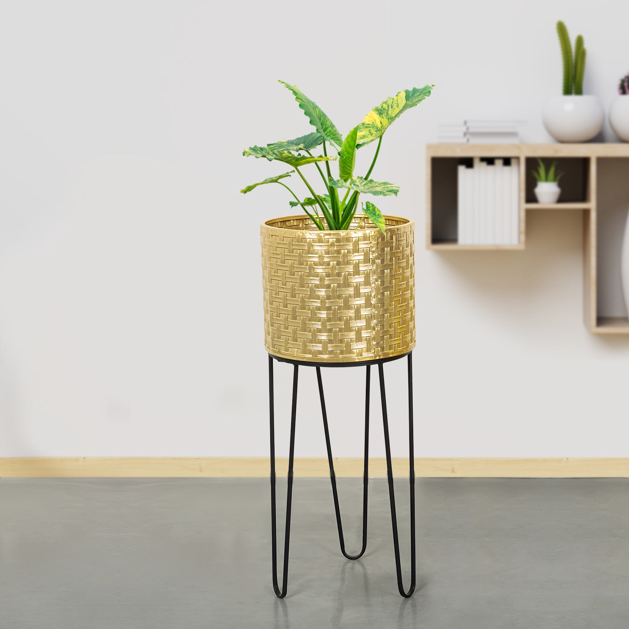 Verdant Oasis Black Stand & Golden Finish Pot - Large Size Planter