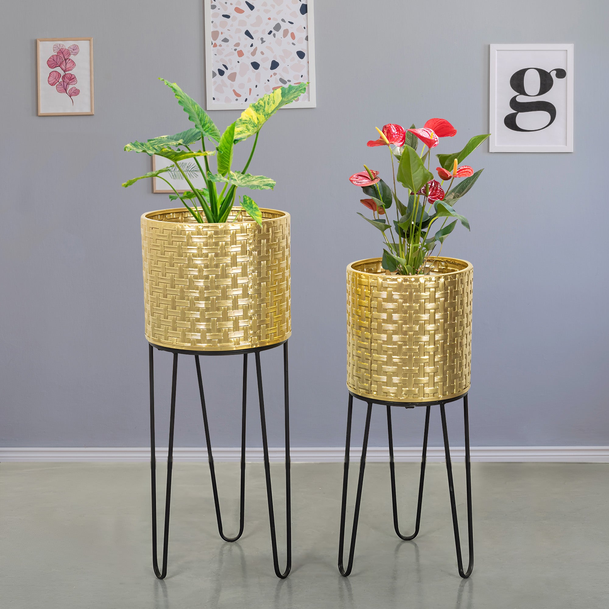 Verdant Oasis Black Stand & Golden Finish Pot Planters Set of 2