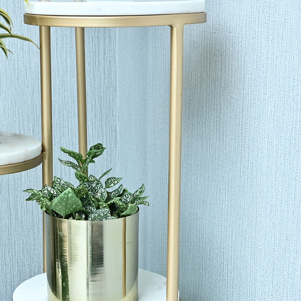 Looking Sturdy Metal Planter Stand Marble Table At Top - 4 Tier