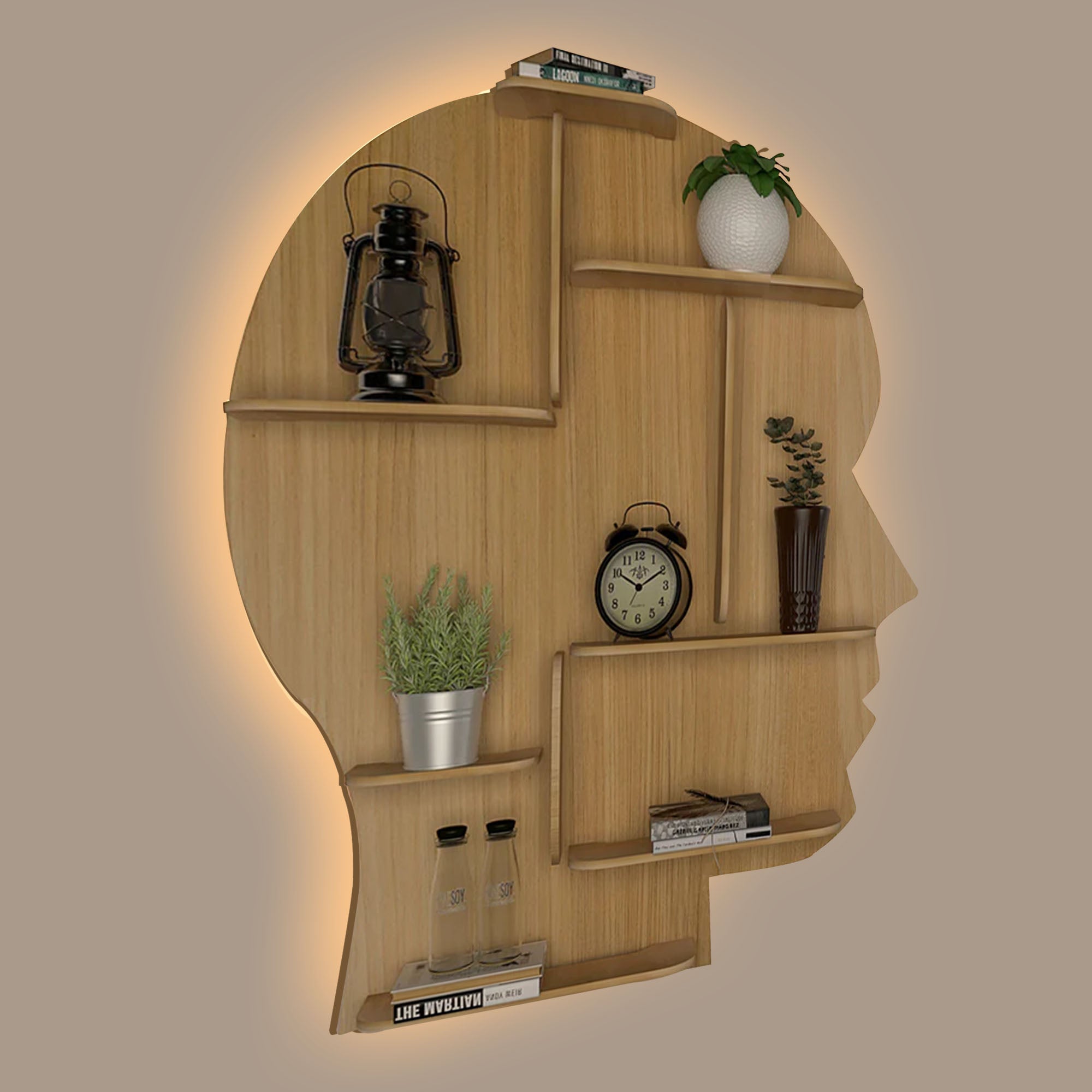 Designer Wooden Wall Shelf / Book Shelf, Light Oak Finish