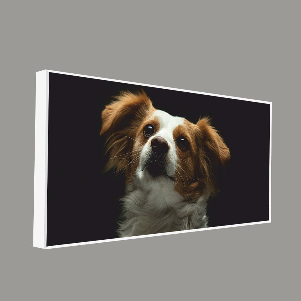 wall painting design