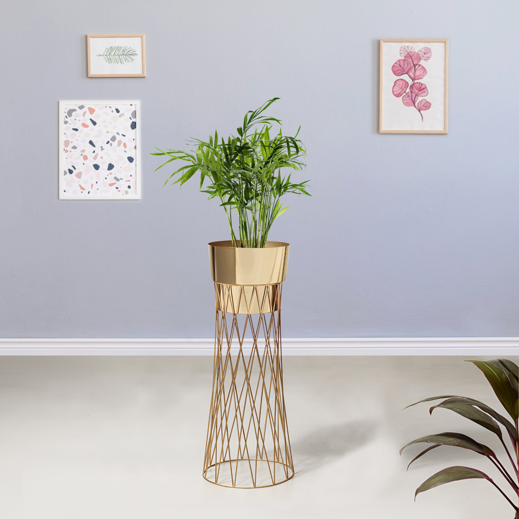 Zen Botanics Gold Stand & Ross Gold Pot - Medium Size Planter