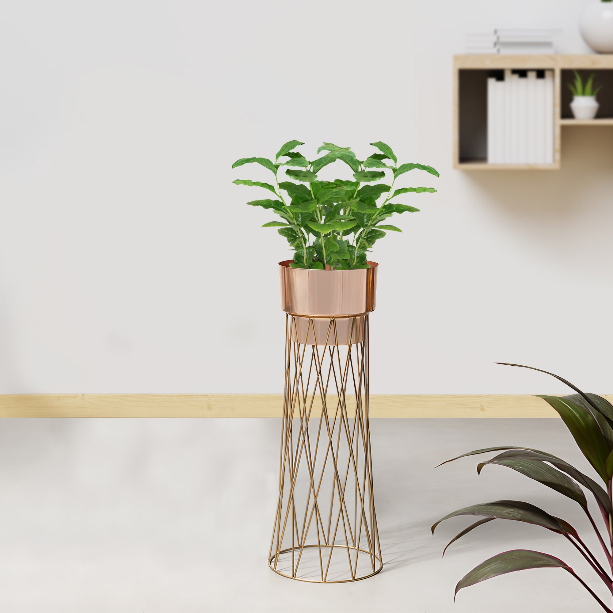 Zen Botanics Gold Stand & Ross Gold Pot - Medium Size Planter