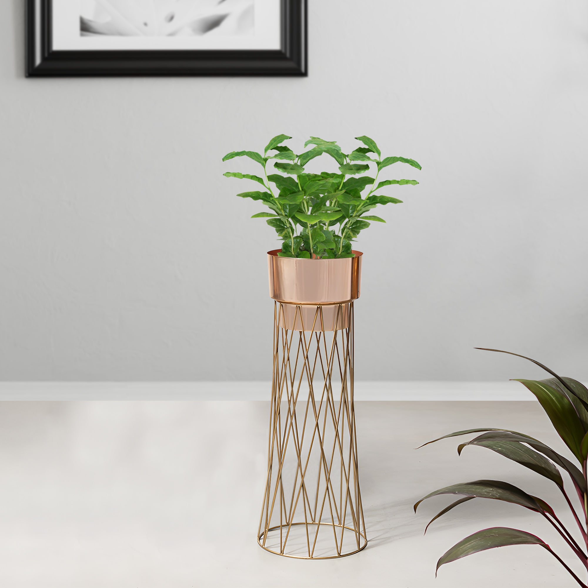 Zen Botanics Gold Stand & Ross Gold Pot - Medium Size Planter
