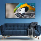 Macaw Parrot Canvas Wall Painting