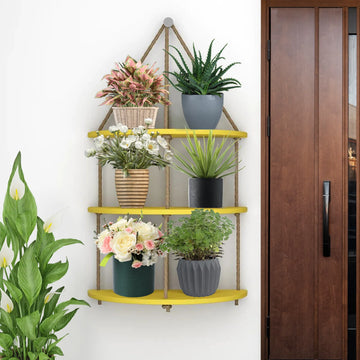 Wall Planters