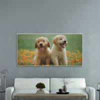 Animal Painintg