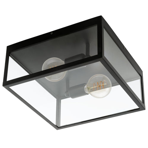 2 Bulb Steel Ceiling Light with Black Clear Glass