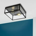 2 Bulb Steel Ceiling Light with Black Clear Glass