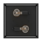 2 Bulb Steel Ceiling Light with Black Clear Glass