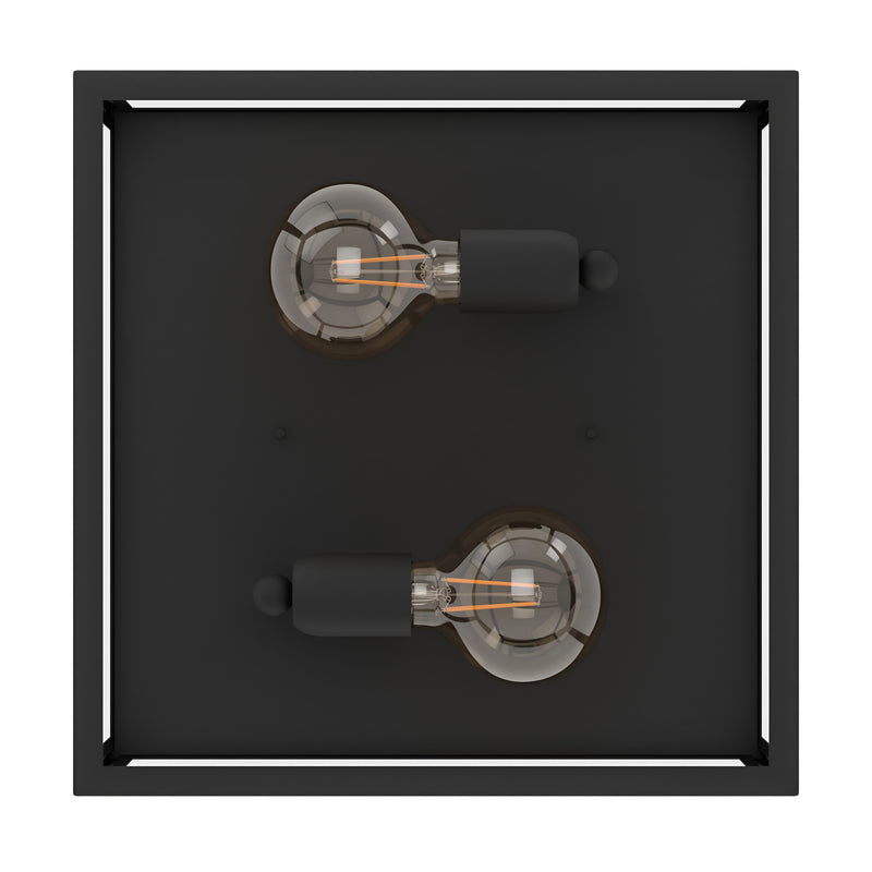 2 Bulb Steel Ceiling Light with Black Clear Glass