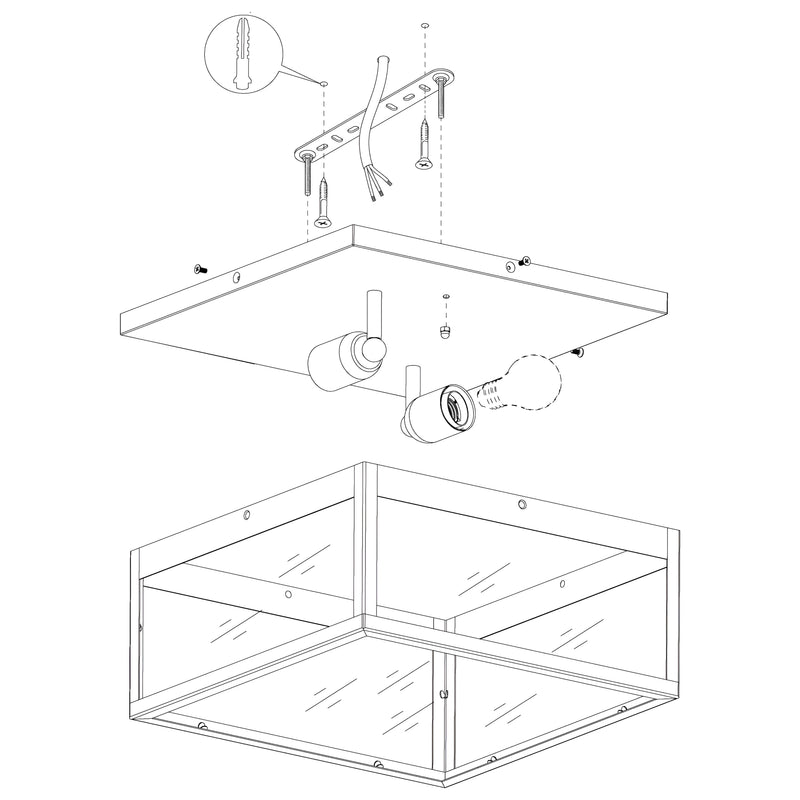 2 Bulb Steel Ceiling Light with Black Clear Glass