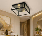 2 Bulb Steel Ceiling Light with Black Clear Glass