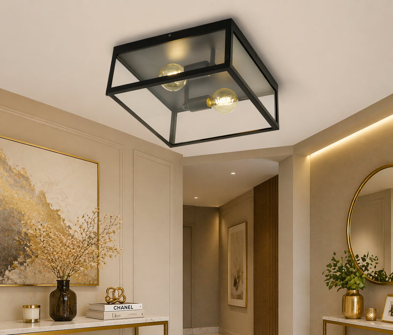 2 Bulb Steel Ceiling Light with Black Clear Glass