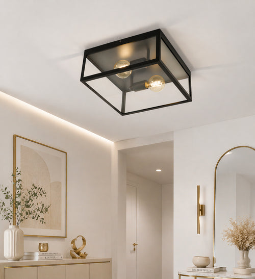 2 Bulb Steel Ceiling Light with Black Clear Glass