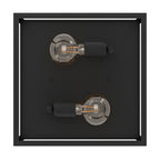 2 Bulb Steel Ceiling Light with Black Clear Glass