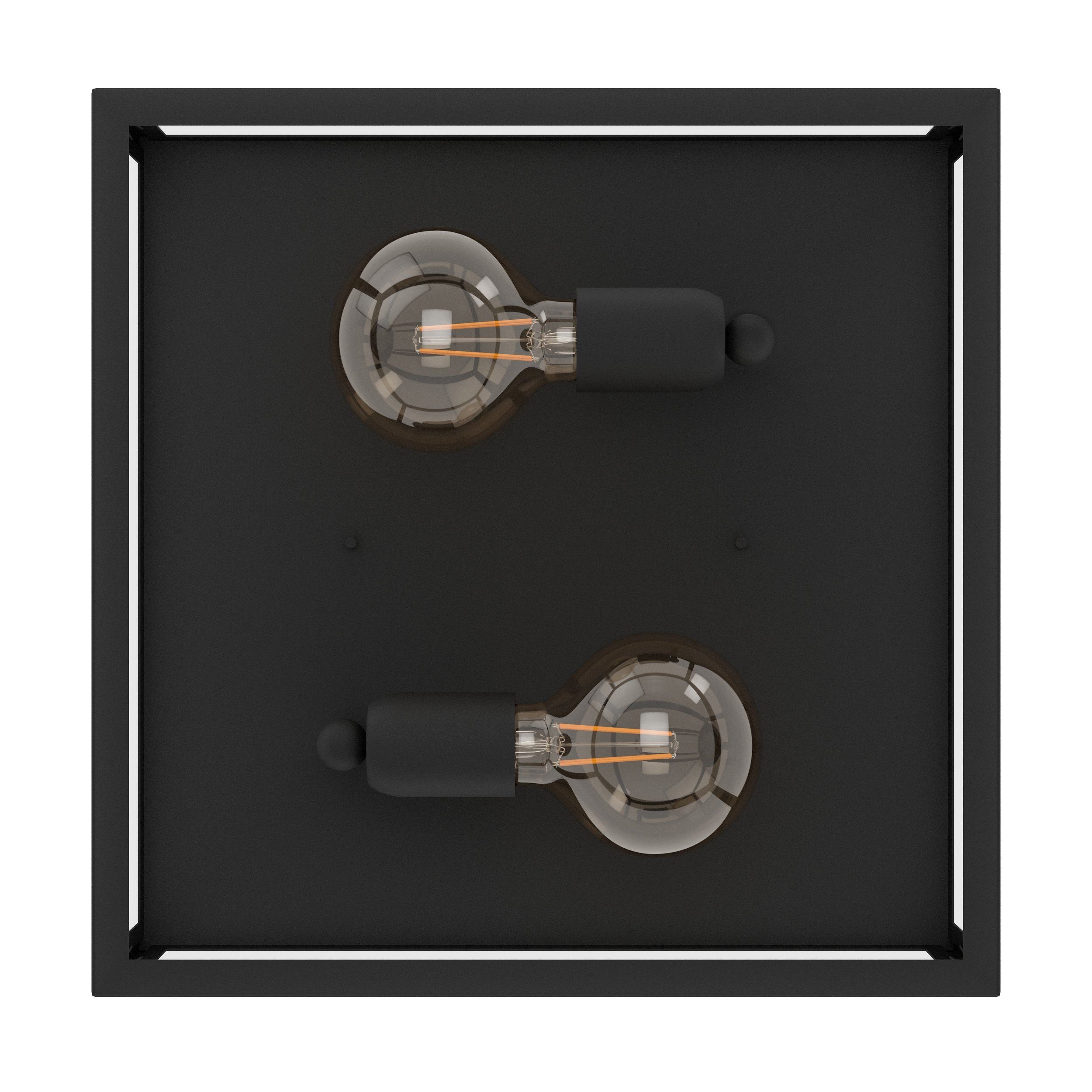 2 Bulb Steel Ceiling Light with Black Clear Glass