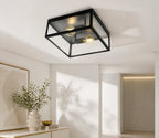 2 Bulb Steel Ceiling Light with Black Clear Glass