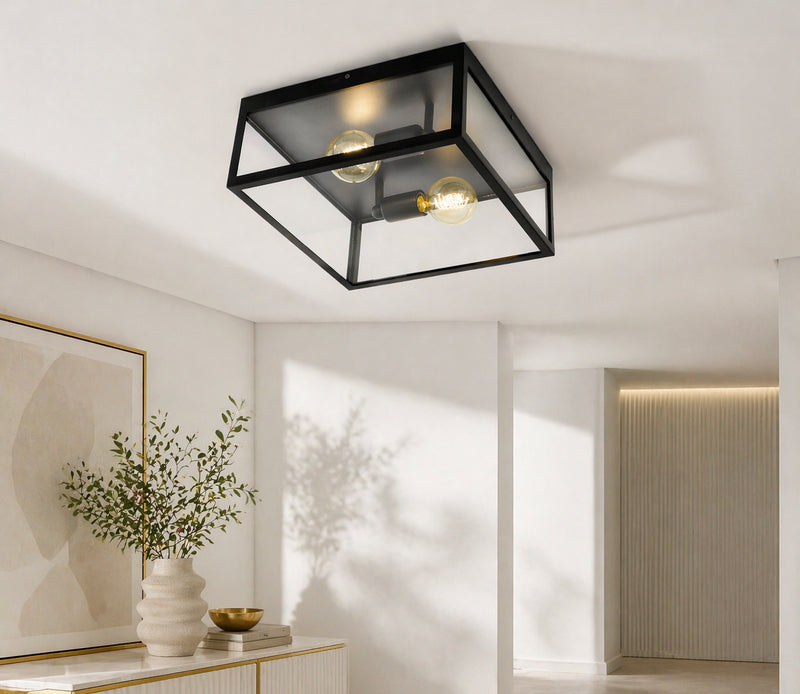 2 Bulb Steel Ceiling Light with Black Clear Glass