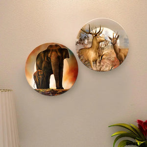 Ceramic Wall Plates