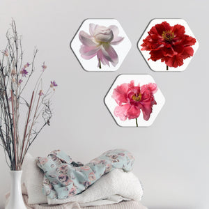 Flowers Hexagon Painting Set of Three - Vibecrafts