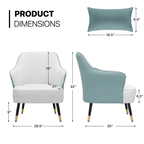 Modern Accent Lounge Chair with Cushion for Living Room