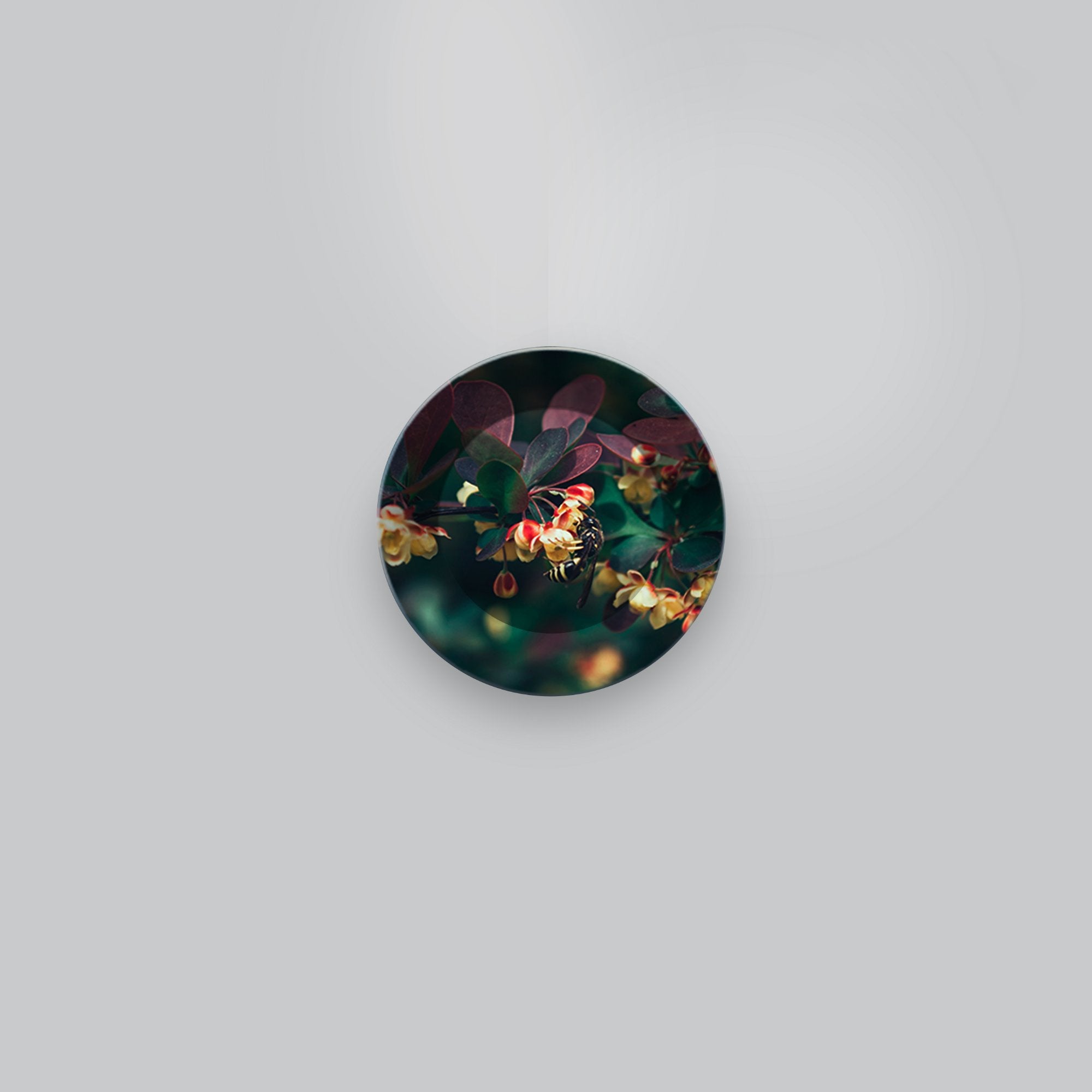 Ceramic Wall Plate Painting of Honey Bee on Flower