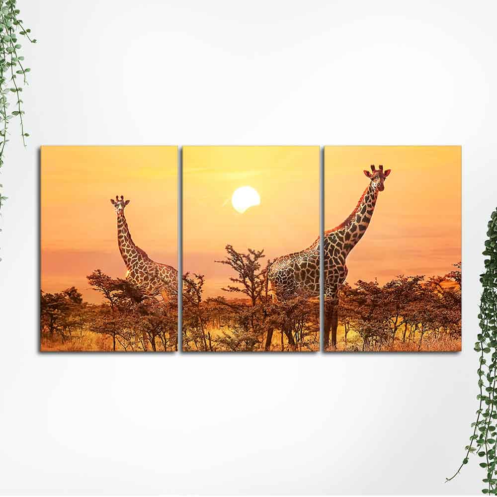 A Beautiful 3 Pieces Wall Painting of Giraffes Sunset in Background