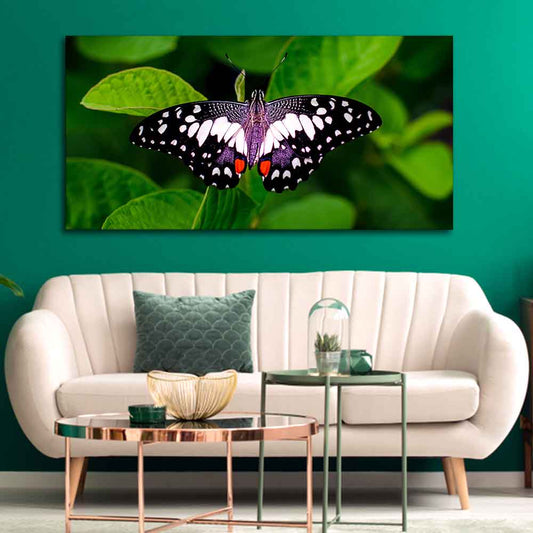 A Beautiful Butterfly on Leaf Premium Canvas Wall Painting