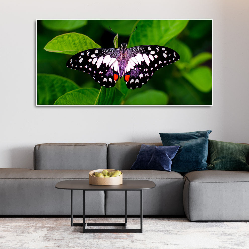 A Beautiful Butterfly on Leaf Premium Canvas Wall Painting