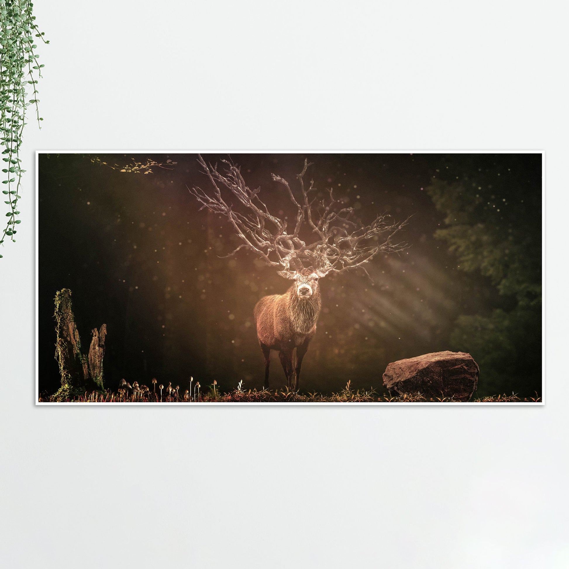 A Beautiful Deer in Dark Forest Floating Wall Painting