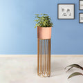 Artisan Arboretum Gold Stand & Ross Gold Pot - Large Size Planter