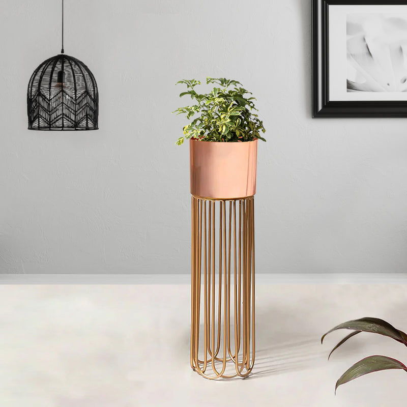 Artisan Arboretum Gold Stand & Ross Gold Pot - Medium Size Planter