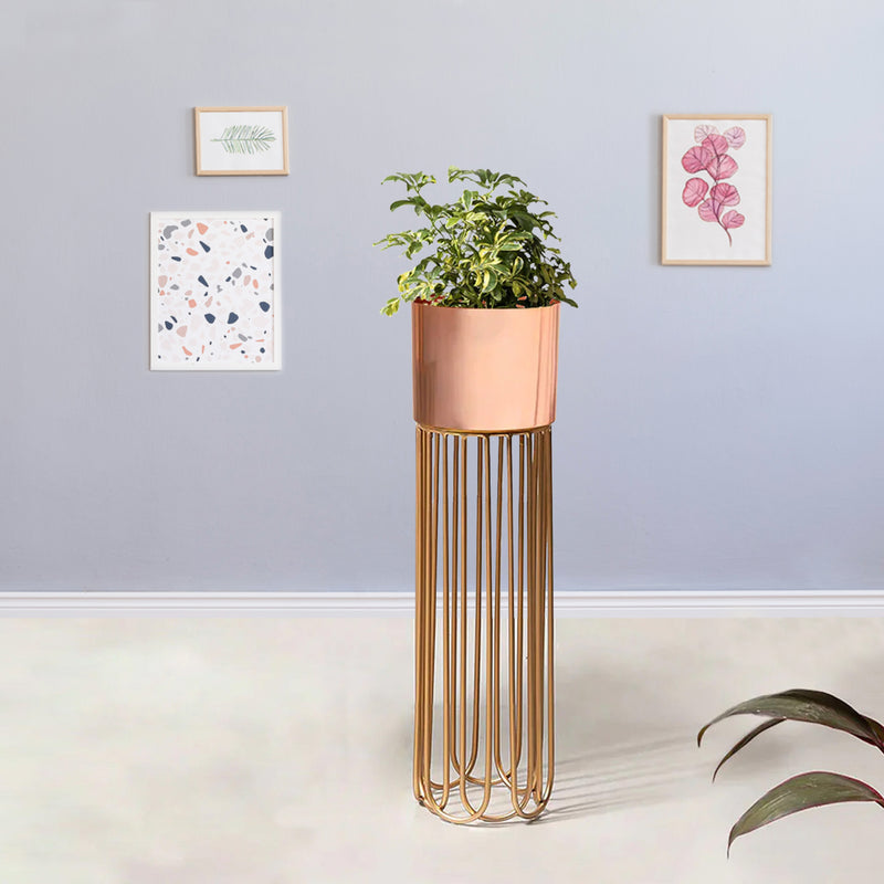 Artisan Arboretum Gold Stand & Ross Gold Pot - Medium Size Planter