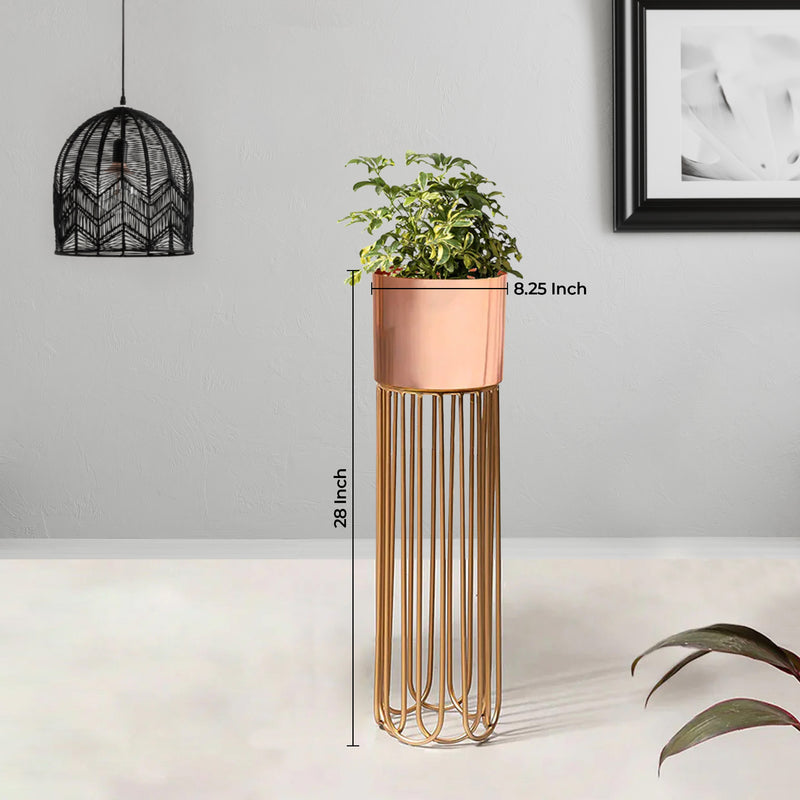 Artisan Arboretum Gold Stand & Ross Gold Pot - Medium Size Planter