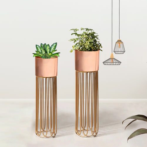 Artisan Arboretum Gold Stand & Ross Gold Pot Planters Set of 2