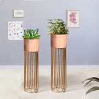 Artisan Arboretum Gold Stand & Ross Gold Pot Planters Set of 2