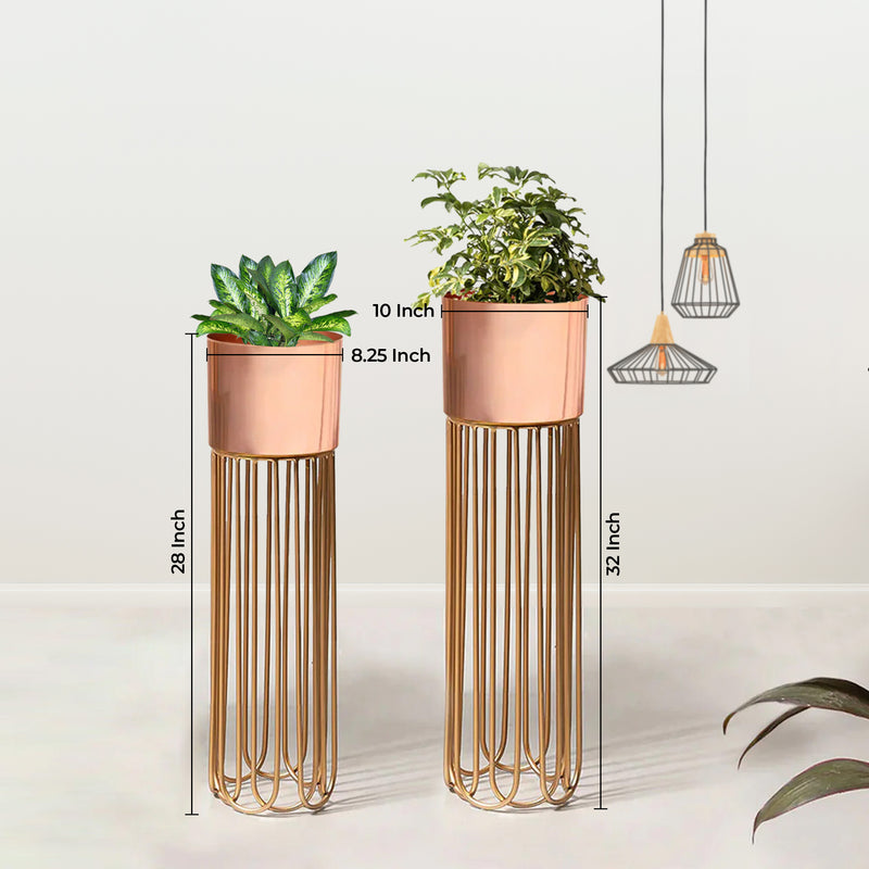 Artisan Arboretum Gold Stand & Ross Gold Pot Planters Set of 2