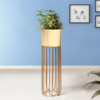 Artisan Arboretum Golden Finish - Large Size Planter